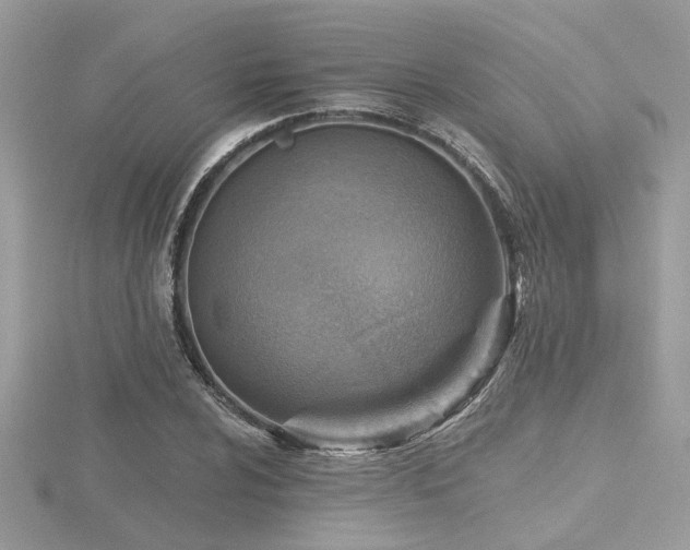 X0000116511024200912091444