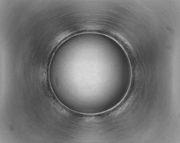 X0000116511025200912091444