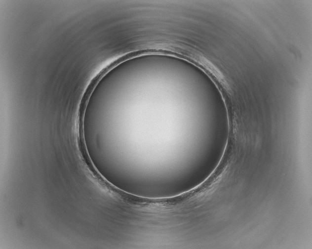 X0000116511028200912091444