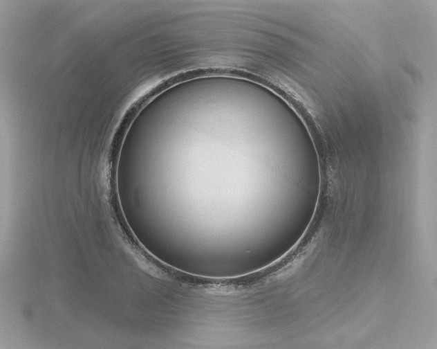 X0000116511029200912091444