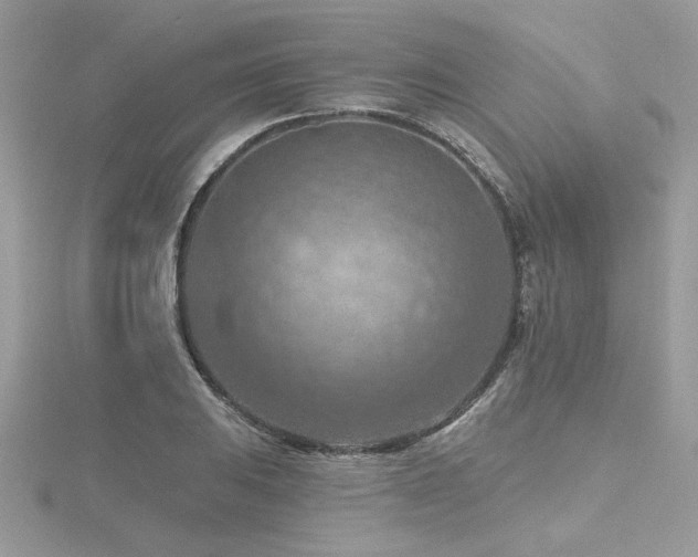 X0000116511031200912091444
