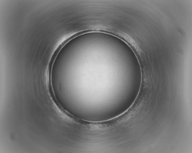 X0000116511032200912091444