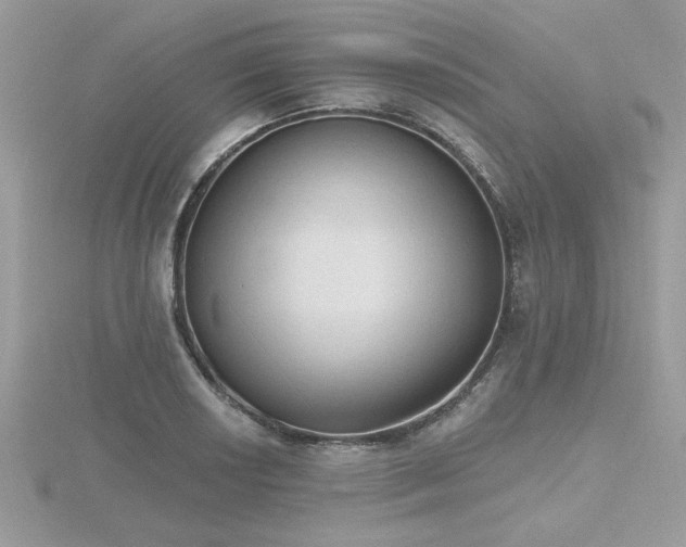X0000116511034200912091444