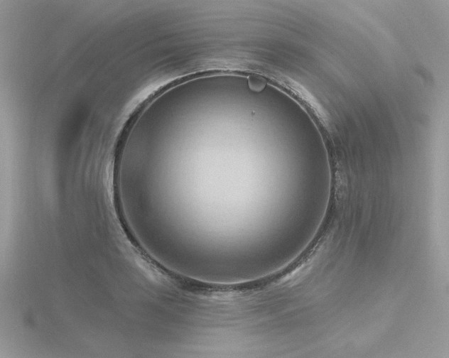 X0000116511035200912091444