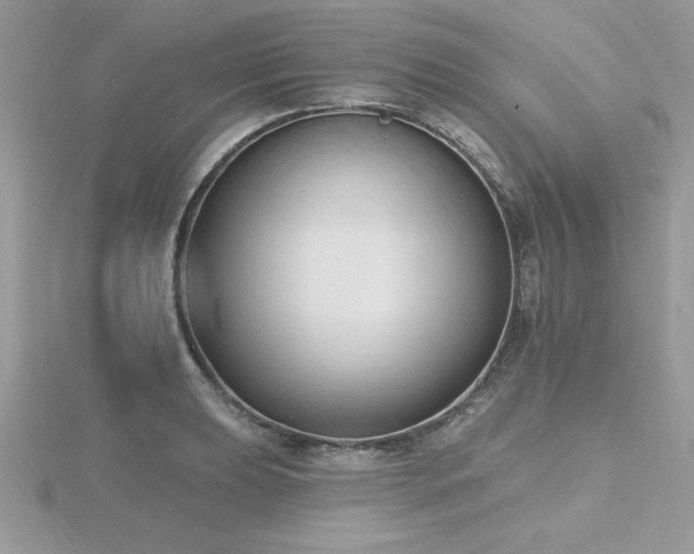 X0000116511039200912091444
