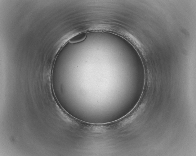 X0000116511041200912091444