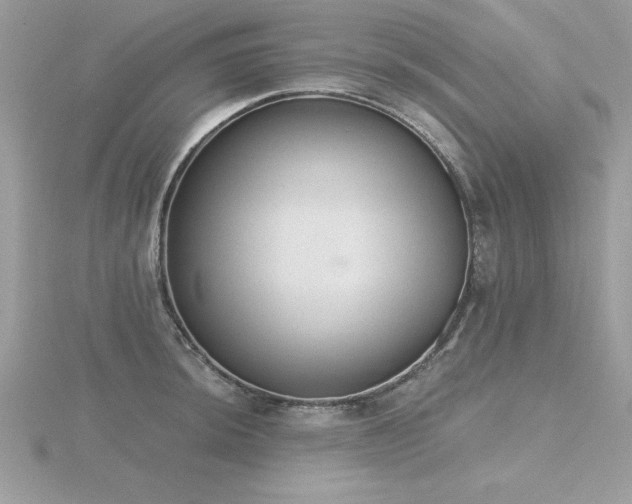 X0000116511044200912091444