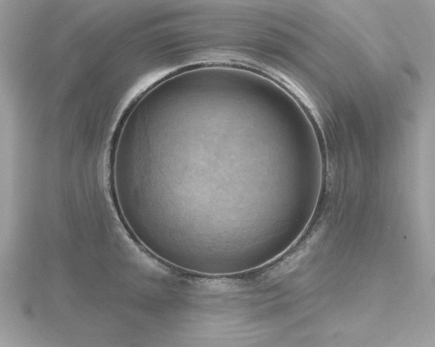 X0000116511045200912091444
