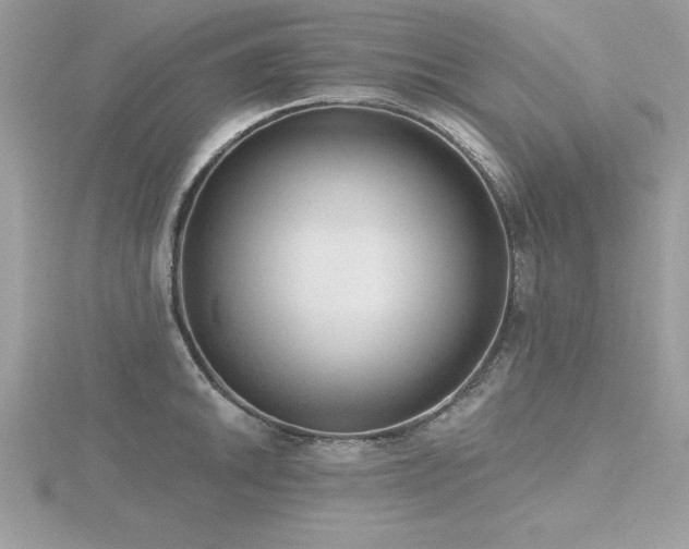 X0000116511046200912091444
