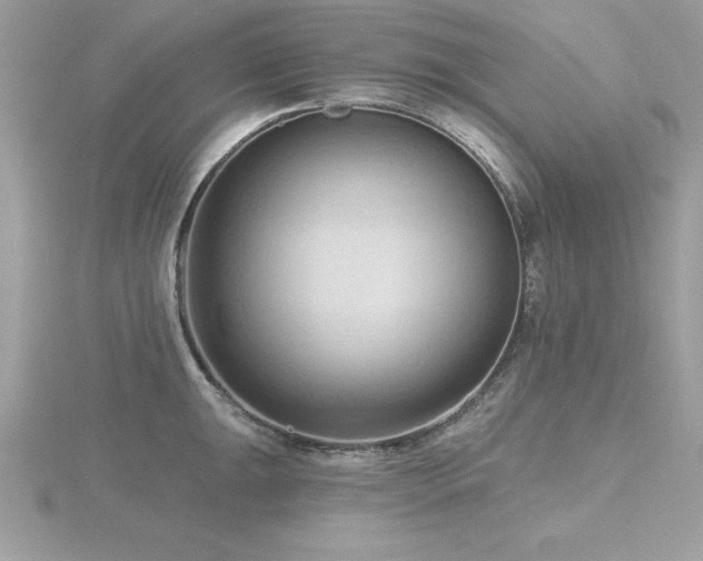 X0000116511047200912091444