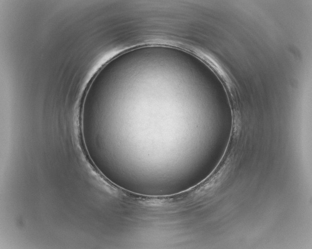 X0000116511048200912091444