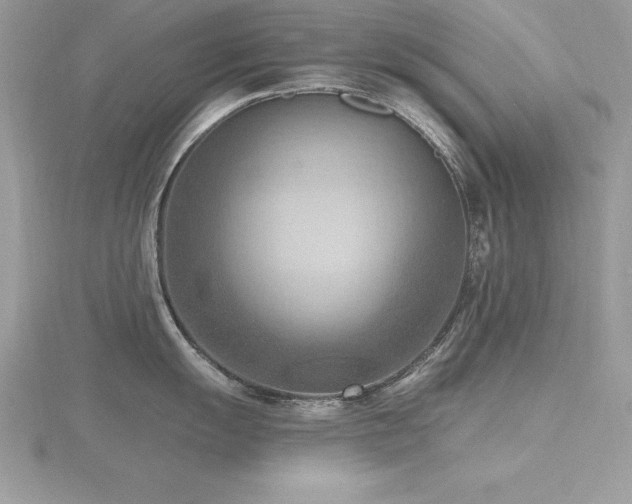 X0000116511055200912091444