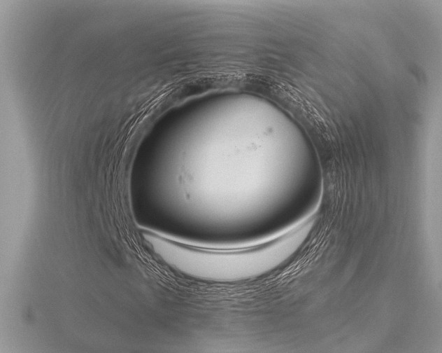 X0000116511057200912091444