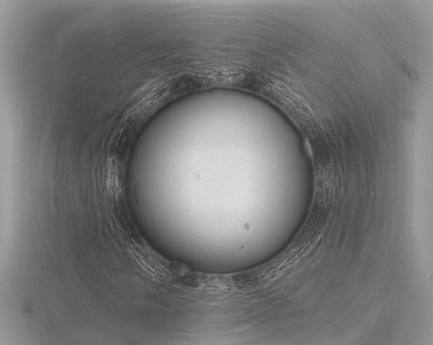 X0000116511058200912091444