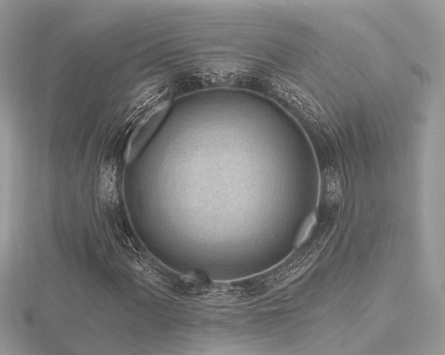 X0000116511060200912091444