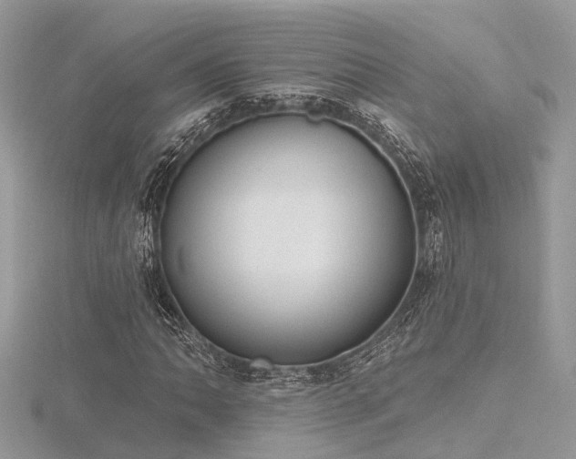 X0000116511062200912091444