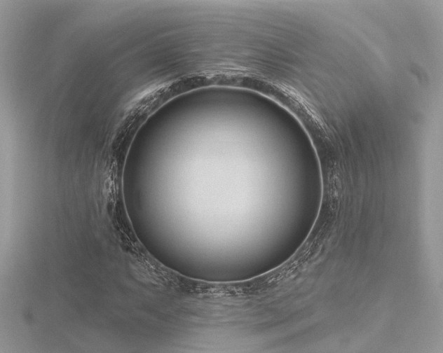 X0000116511063200912091444