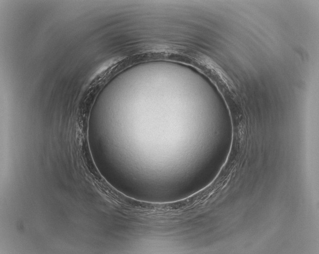 X0000116511064200912091444
