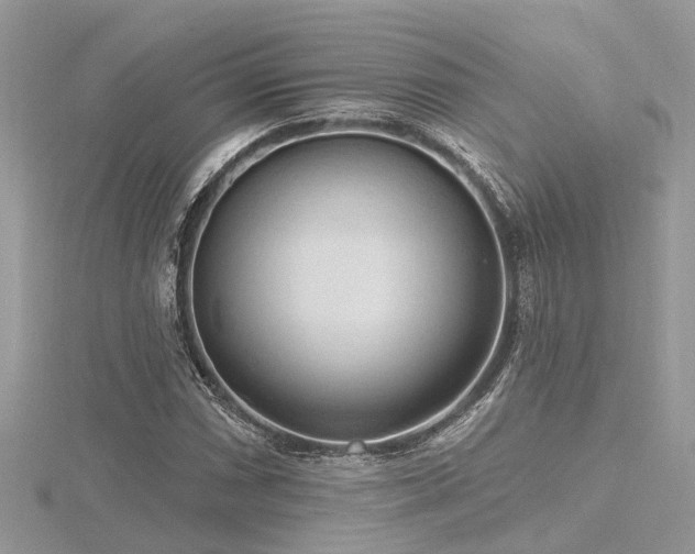 X0000116511066200912091443