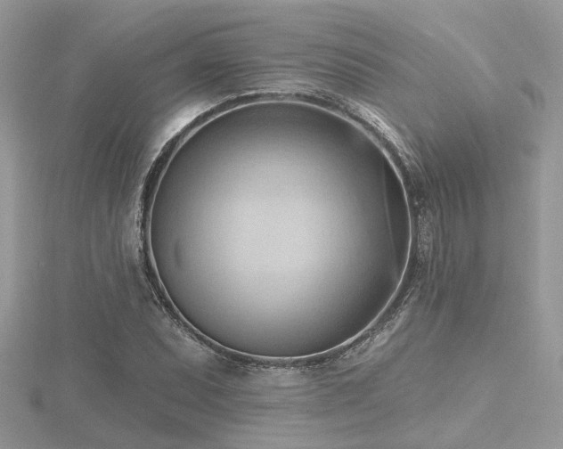 X0000116511071200912091443