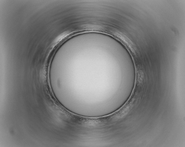 X0000116511074200912091443