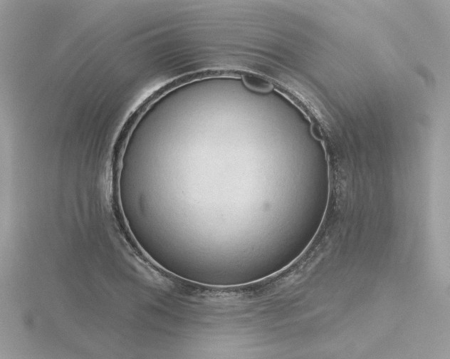 X0000116511076200912091443