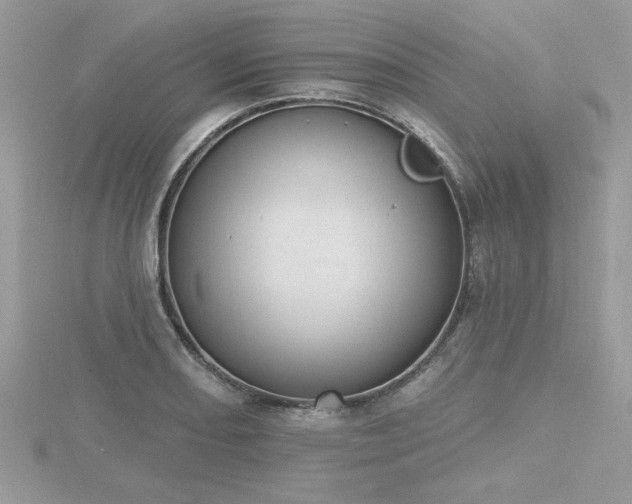 X0000116511082200912091443