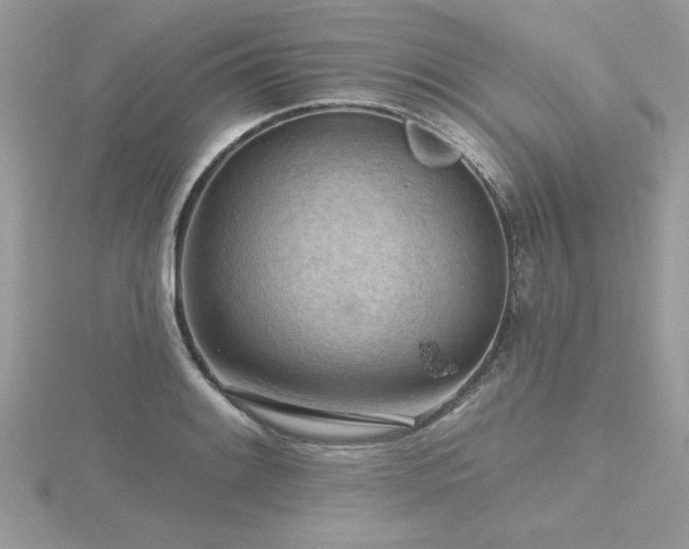 X0000116511084200912091443