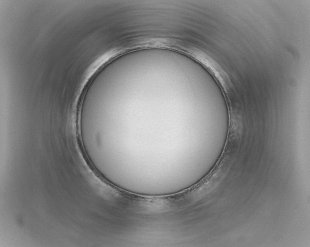 X0000116511090200912091443