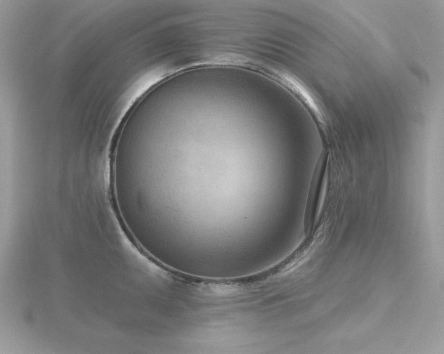 X0000116511095200912091443