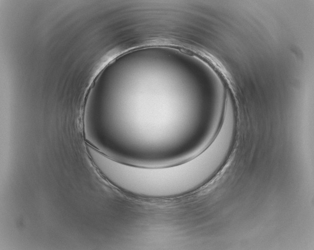X0000116511097200912091443