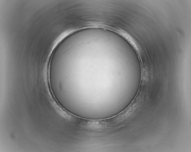 X0000116511098200912091443