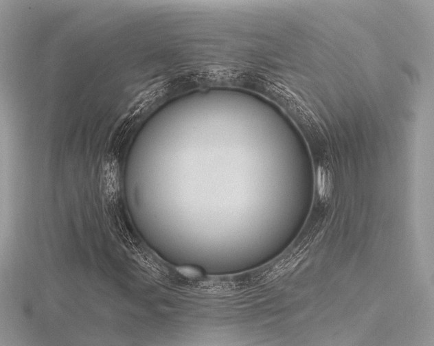 X0000116511107200912091442