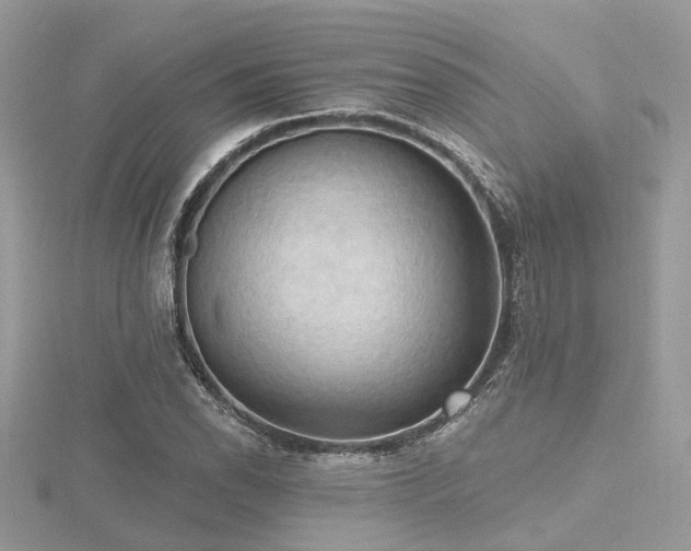 X0000116511118200912091443