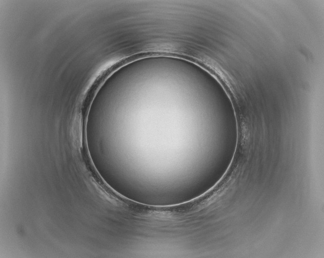 X0000116511123200912091443