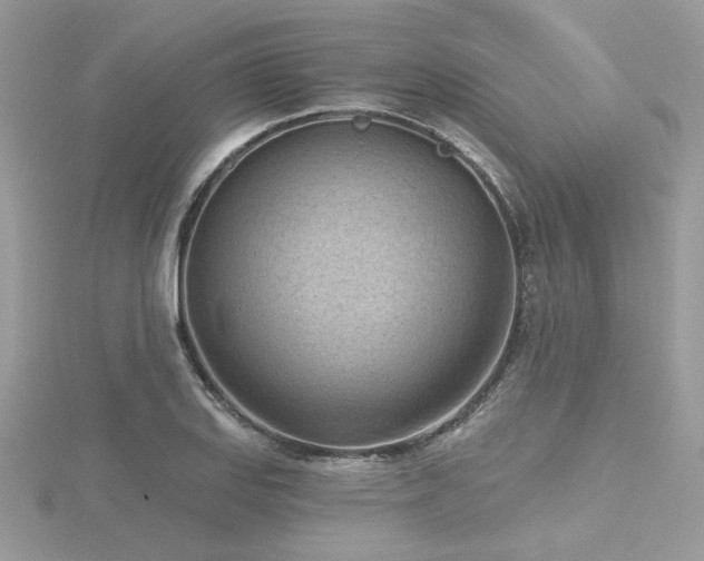 X0000116511127200912091443