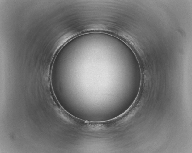 X0000116511129200912091443