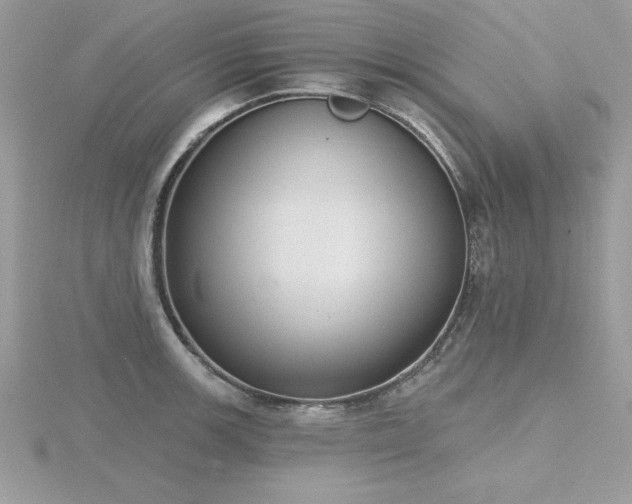 X0000116511139200912091443