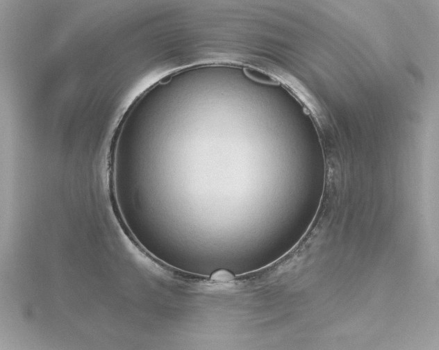 X0000116511143200912091443