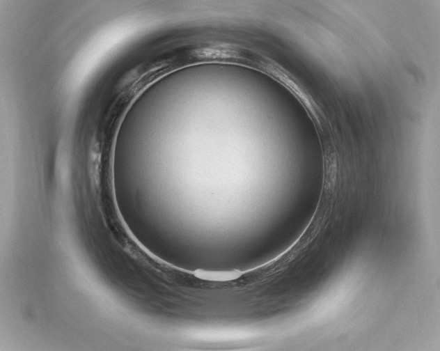 X0000116511151200912091443