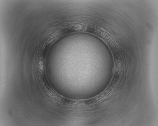 X0000116511154200912091442