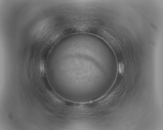X0000116511155200912091442