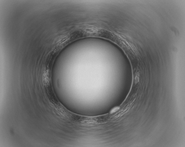 X0000116511156200912091442