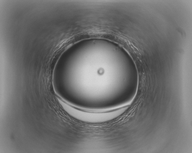 X0000116511157200912091442