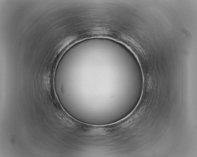 X0000116511162200912091442