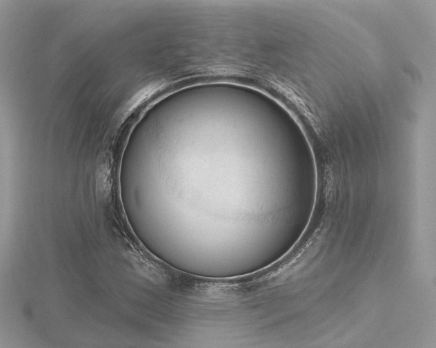 X0000116511163200912091442