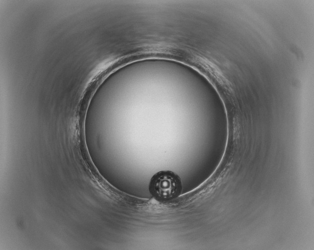 X0000116511164200912091442