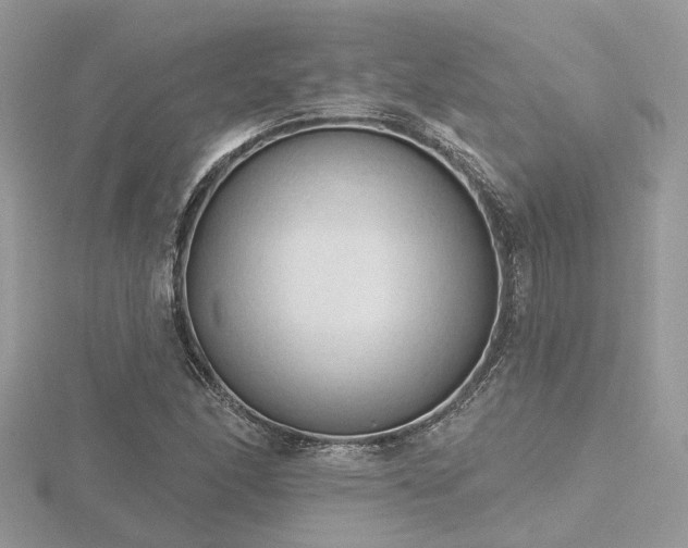 X0000116511166200912091442