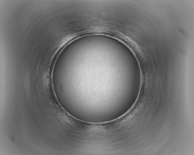 X0000116511170200912091442