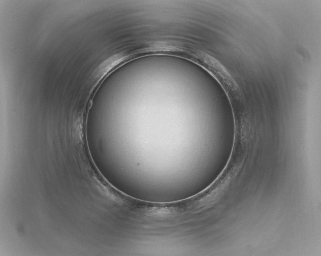 X0000116511177200912091442
